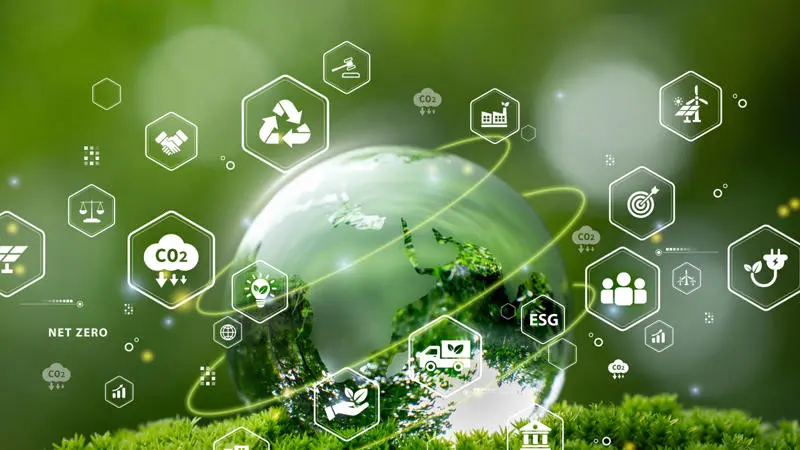 The Role of Green Logistics in Sustainable Business